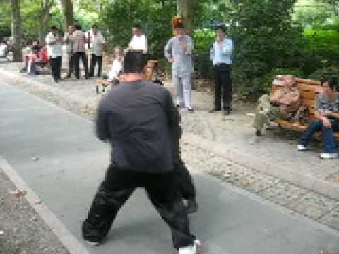 tai chi push hands tutorial